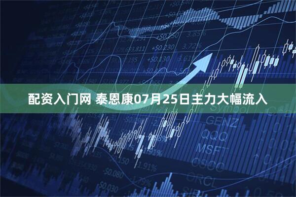配资入门网 泰恩康07月25日主力大幅流入